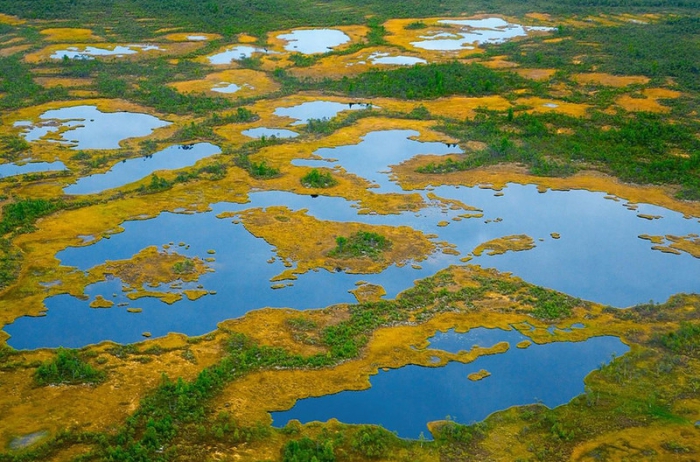 Самые большие болота в мире, расположены на территории Томской, Омской и Новосибирской областей.