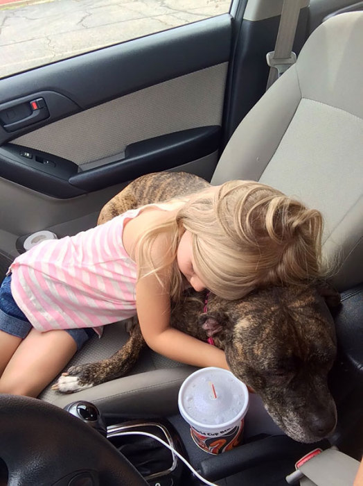 Девочка обняла любимую собаку, сказав, что прививки — это не больно.
