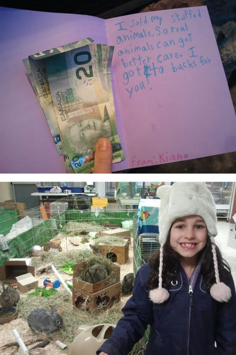 Девочка продала свои мягкие игрушки, чтобы помочь животным из местного приюта.