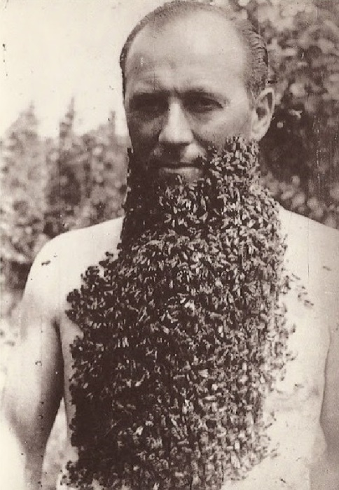 Мужчина с бородой из пчел, 1960-е.