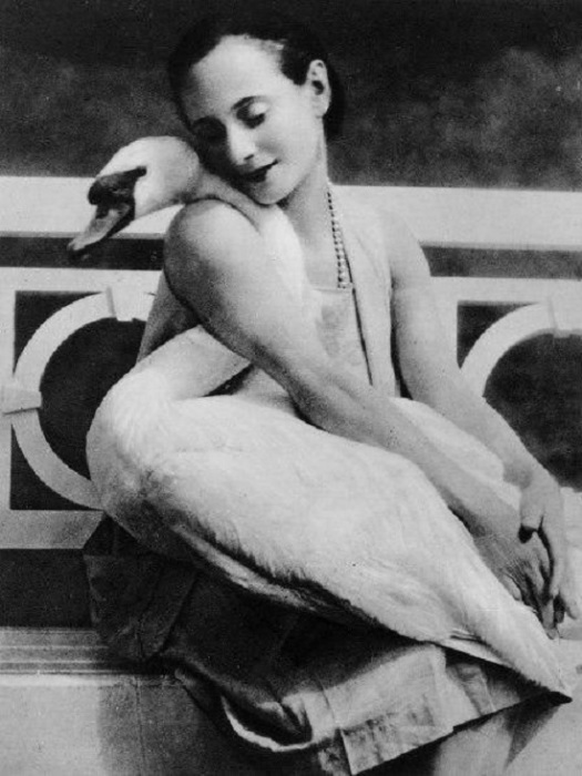 Балерина Анна Павлова со своим лебедем Джеком.