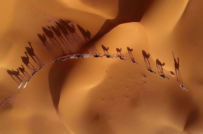 Благодаря снимку «Миграция» фотограф Халид Альсабт (Khalid Alsabt) смог занять 2-е место в категории «Красота природы».
