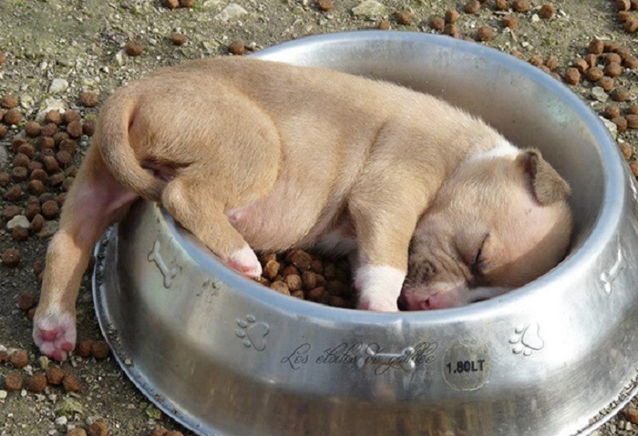 Слишком устал, даже поесть нет сил.