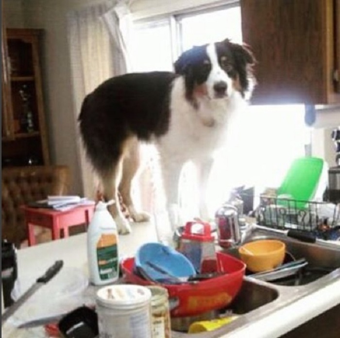 И как же мне в этой куче посуды добраться до крана?