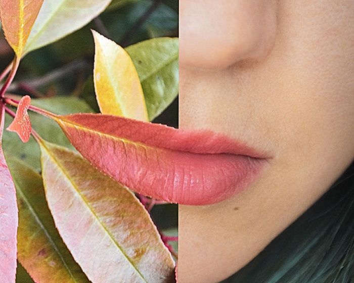 Красивое сочетание цвета осеннего листа и мягких нежных губ.