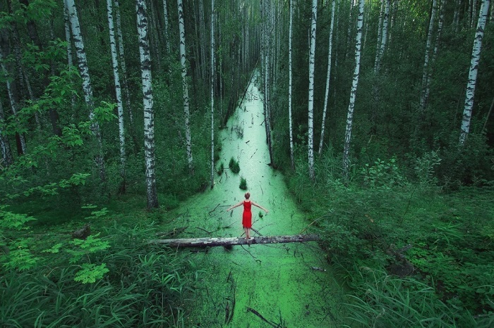 Красота лесов России.