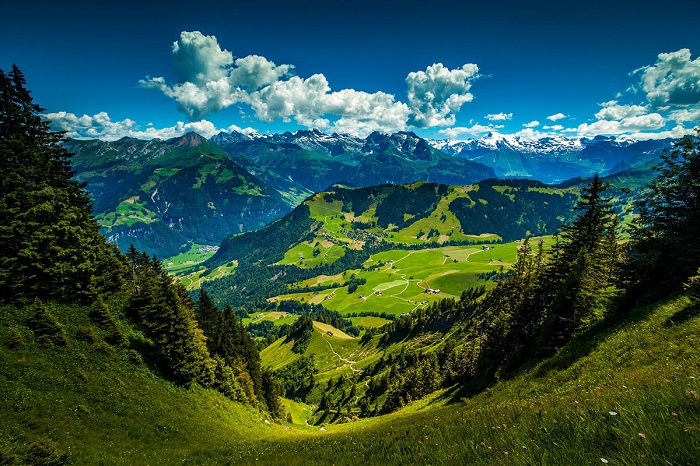 Гора в Швейцарии, которая расположена в кантоне Нидвальден неподалеку от границы с полукантоном Обвальден. Фотограф Matthew Szwedowski.