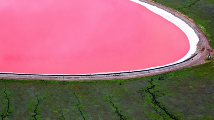 Своим розовым цветом озеро обязано галобактериям, способным жить в среде с высоким содержанием солей.