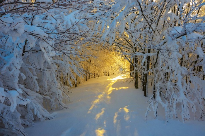 Нет ничего лучше, чем зимний восход солнца. Особенно на тропинке, покрытой свежевыпавшим снегом, на котором еще нет ни одного следа.