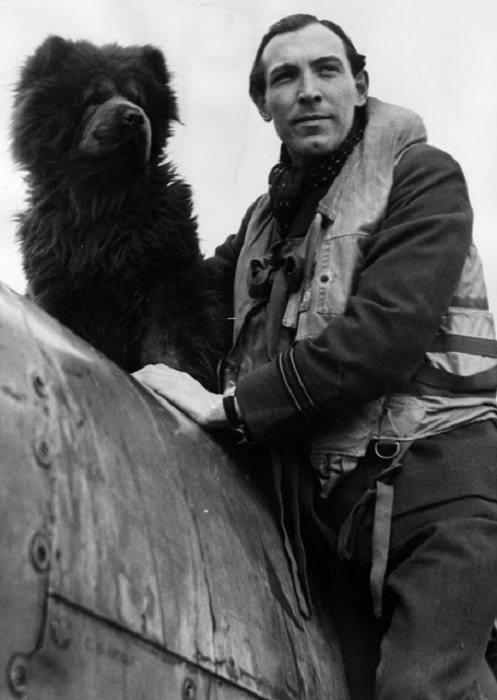 Собака - талисман эскадры  Союзных экспедиционных ВВС, оббегала каждый самолет перед взлетом.