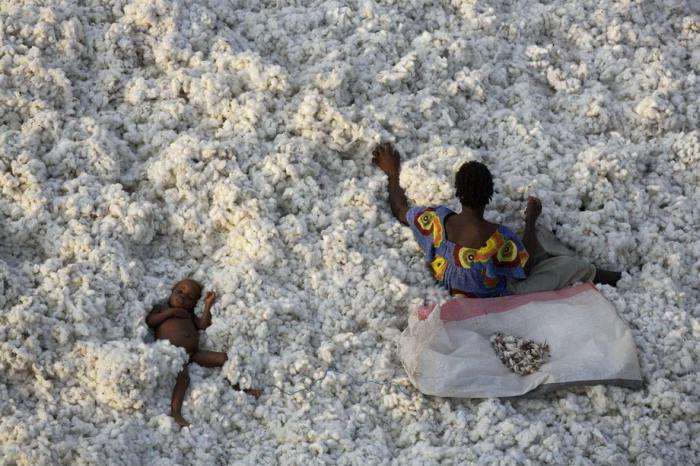 Буркина-Фасо — одна из беднейших стран мира, которая выращивает и занимается экспортом хлопка.
