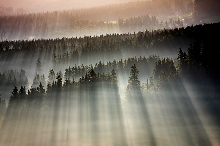 Туманные пейзажи на фотографиях Богуслава Стремпеля (Boguslaw Strempel)