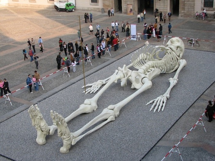 Гигантский скелет Calamita Cosmica