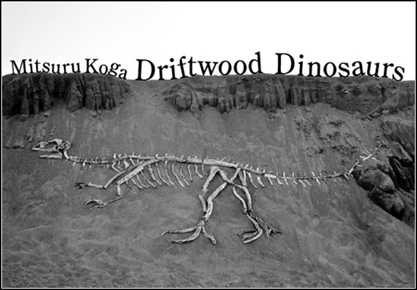 Инсталляция Driftwood Dinosaur. Деревянные артефакты