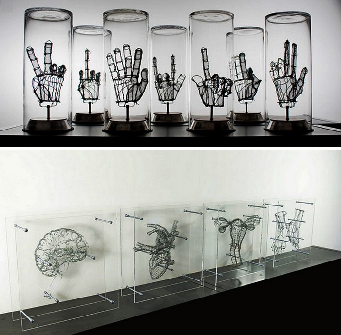 Человеческие органы из проволоки. Скульптуры Federico Carbajal