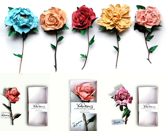 Бумажные цветочные композиции от Frances & Francis