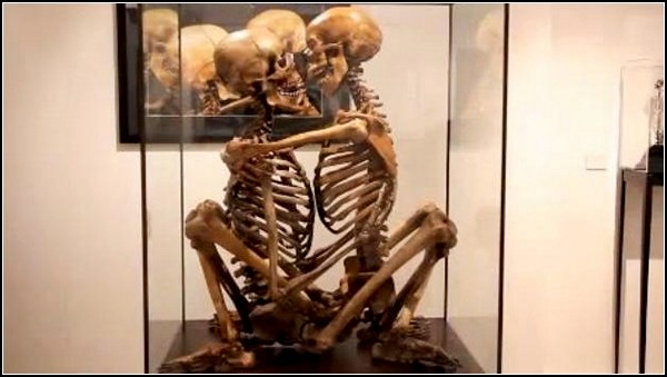 Мир человеческого тела Гюнтера фон Хагенса | Пикабу