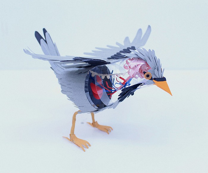 Вскрытие бумажных птичек. Серия скульптур Disecciones