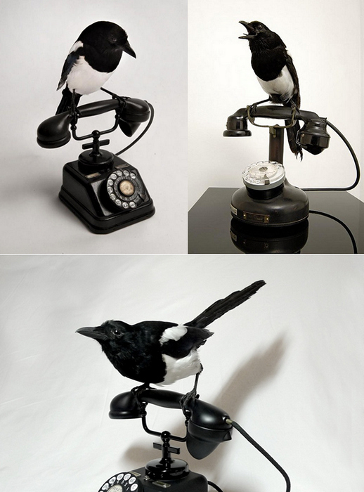 Необычные скульптуры из животных и птиц. Таксидермия от Полли Морган (Polly Morgan)