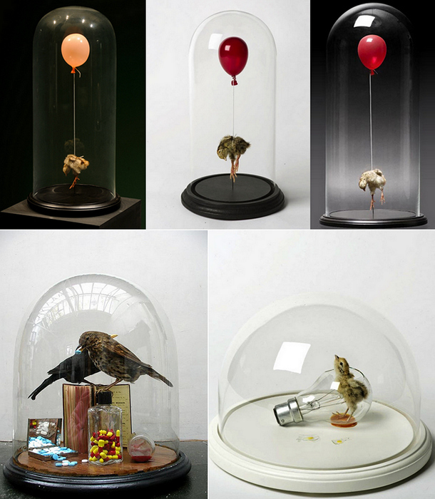 Необычные скульптуры из животных и птиц. Таксидермия от Полли Морган (Polly Morgan)