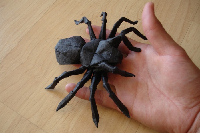 Оригами паук: пошаговый инструктаж создания паука из бумаги