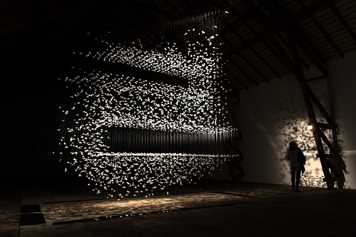 Инсталляции из подвешенных перьев от  Исы Барбье (Isa Barbier)