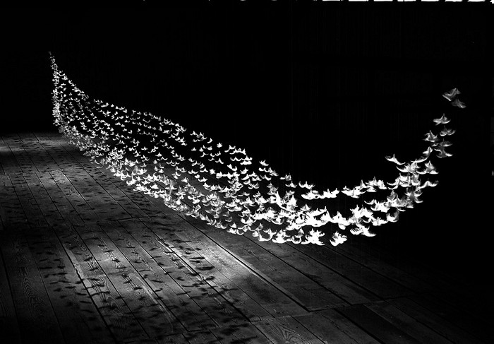 Инсталляции из подвешенных перьев от  Исы Барбье (Isa Barbier)