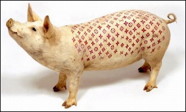 Татуировки свиньи на груди