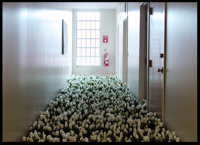 Bloom: 28000 цветов для Массачусетского Центра психологического здоровья
