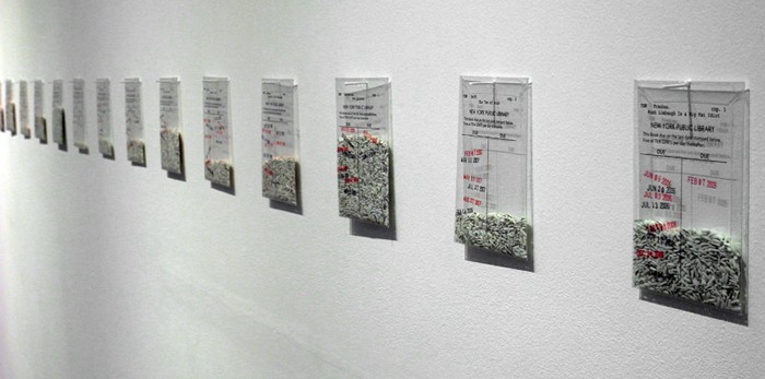 Library. Отрывки из любимых книг художника Trong G. Nguyen, написанные на рисовых зернышках