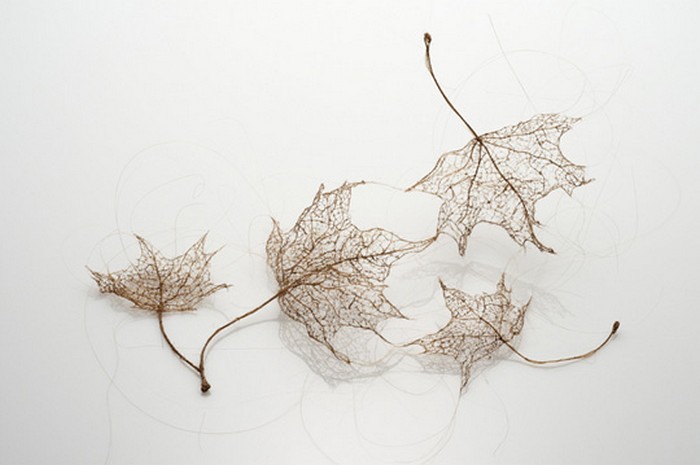 Листья, сплетенные из человеческих волос
