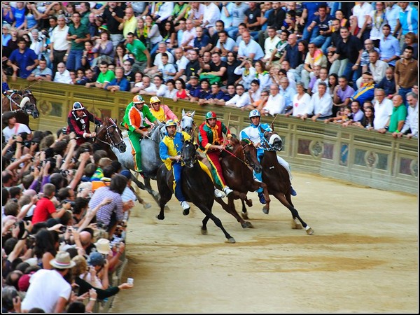 Palio Horse Race, Siena