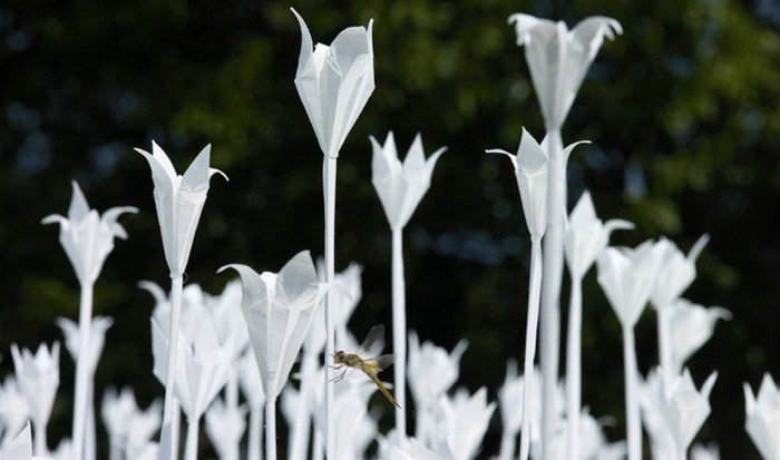 Folding for Peace: белый сад из цветов-оригами