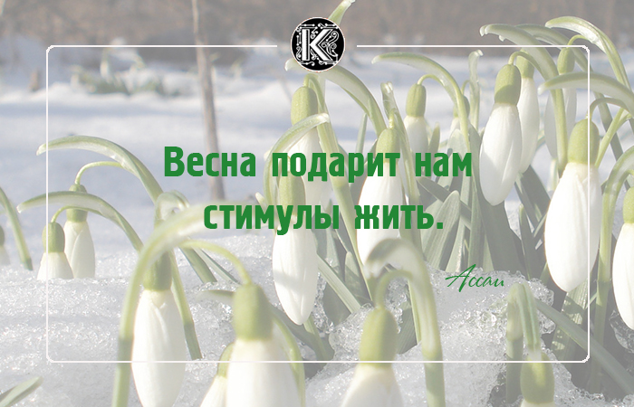 Русская природа весной преподносит нам впр. Сезонный товар на весну 2023. Хотите я назначу вам весну.