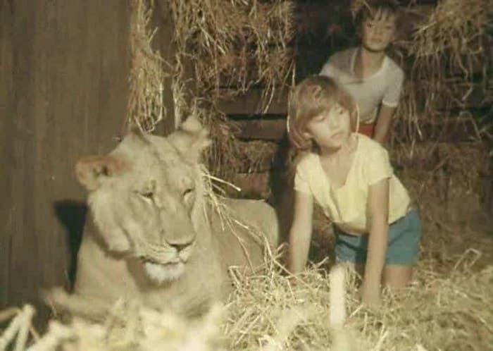 Кадр из фильма *У меня есть лев*, 1975 | Фото: kino-teatr.ru