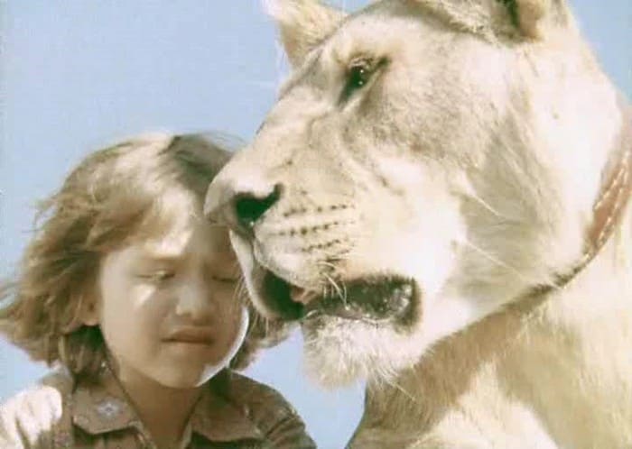Рома Берберов в фильме *У меня есть лев*, 1975 | Фото: kino-teatr.ru