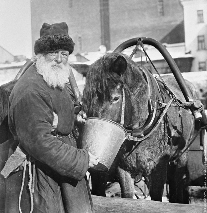  Извозчик поит уставшую лошадь из ведра. Москва, 1924 год. 