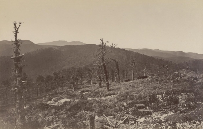 Вид Лысой батареи с лесной горы в 1877 году.