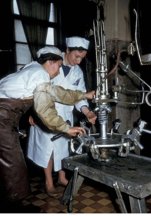 Завод по производству шампанских вин. Тбилиси, 1964 год.