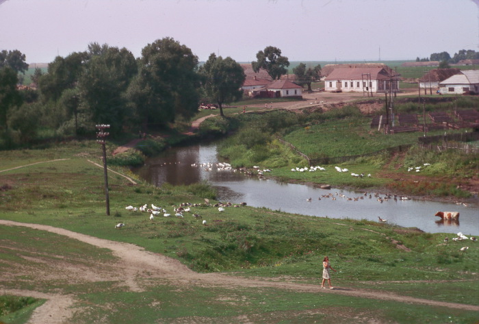 Река в деревне Верхние Лубы. 
