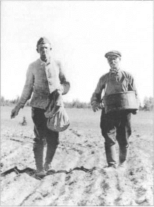 Военнослужащий Вермахта и русский крестьянин сеют хлеб, 1942–1943 годы.