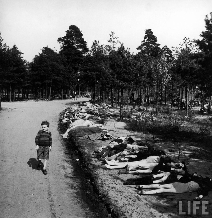 Прилегающий лес к лагерю смерти Bergen Belsen, 20 апреля 1945
