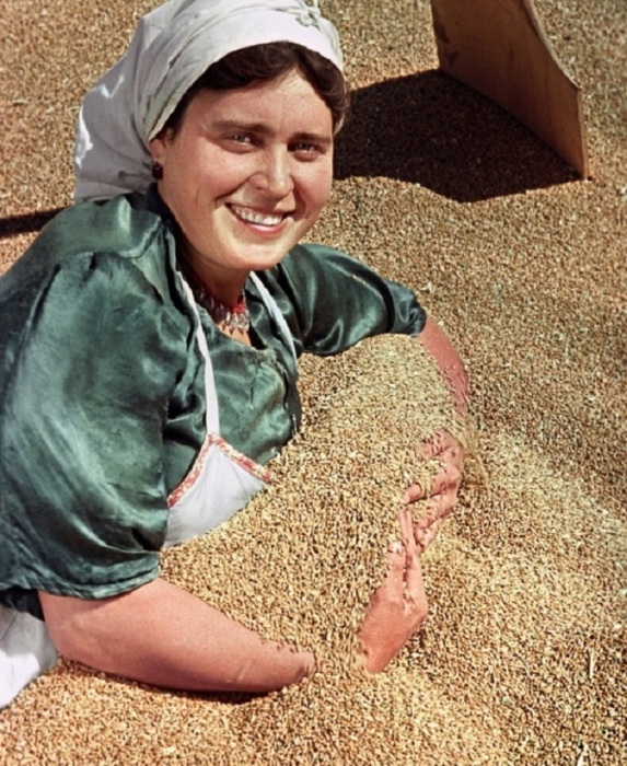 Колхозница Анастасия Николаевна Прилепина с зерном нового урожая в 1951 году. Автор: Jacob Ryumkin. 