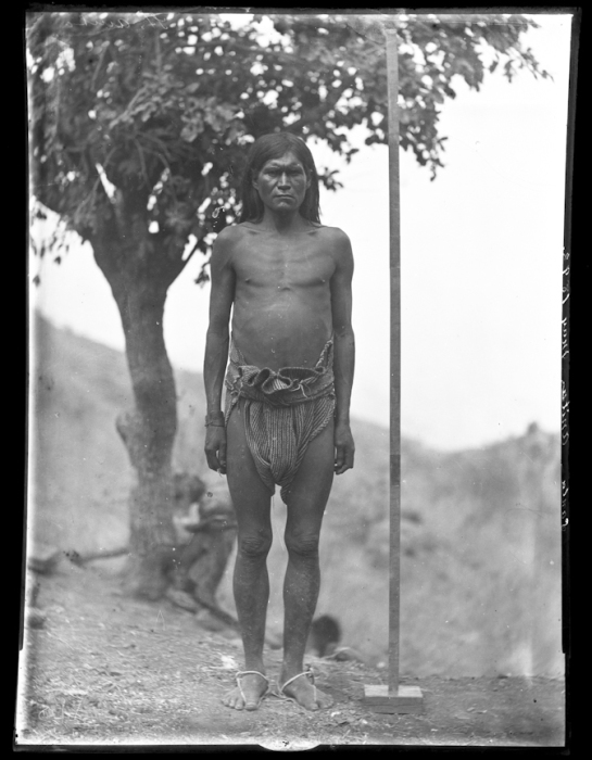 Мужчина из племени тараумара. Санта Анита,1893 год. Фотография Карла Люмхольтца. 