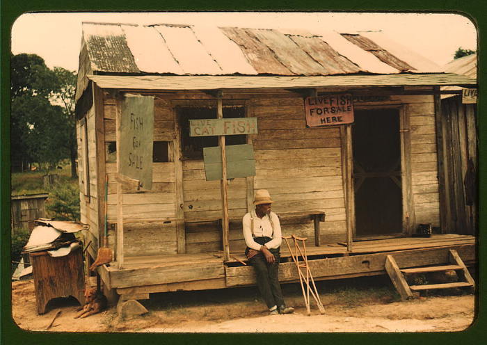 Хозяин магазина в котором торгуют живой рыбой. США, июль 1940 года. Автор: Marion Post.