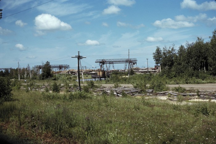 Место хранения вырубленной древесины на въезде в Мариинск.