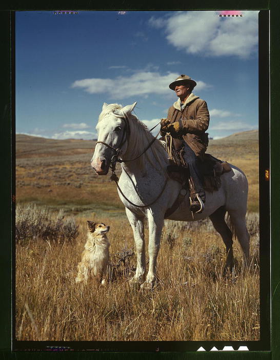 Пастух на своей лошади с собакой на пастбище. Штат Монтана, Август 1942 года. Автор: Russell Lee.