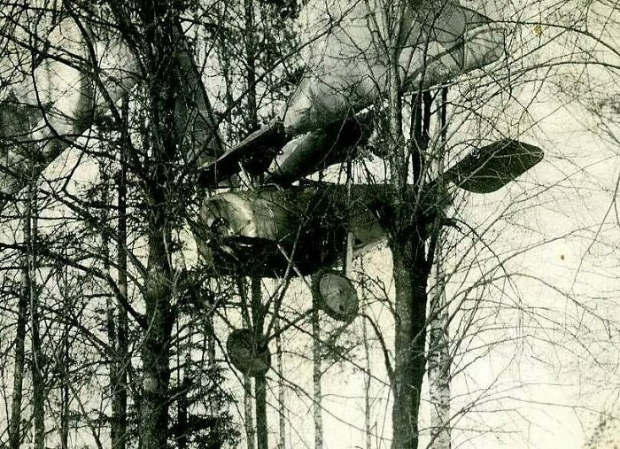 Посадка на лес самолета Ньюпор 21, пилот Иванов. Город Гжатск, 1920 год.