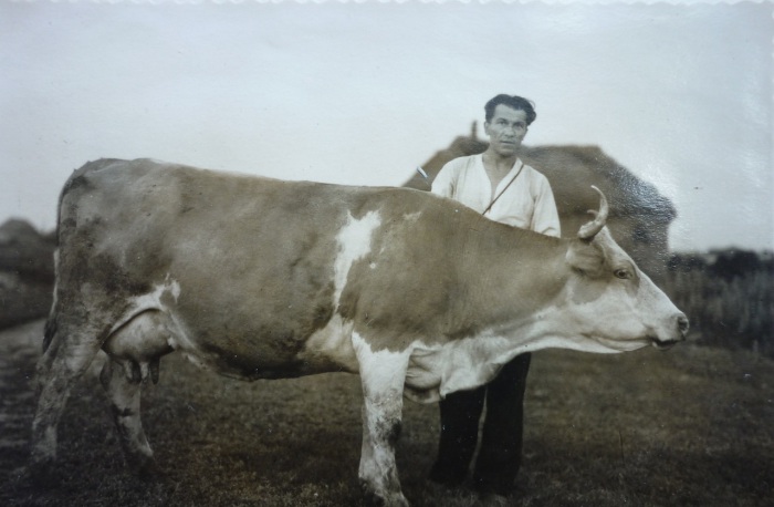 Мужчина со своей кормилицей. СССР, село Никольское, 1948 год.