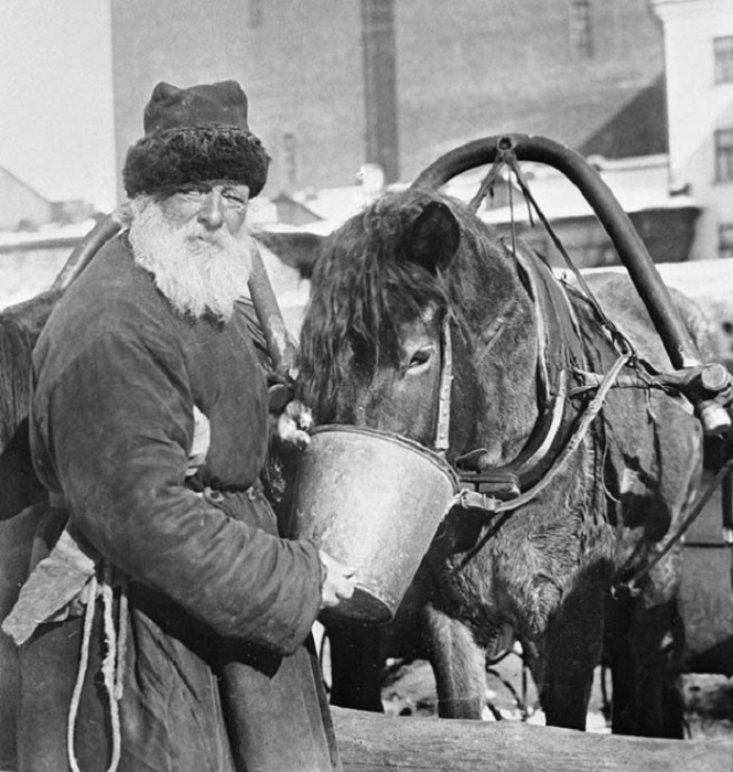 Извозчик поит лошадь водой в 1924 году. 